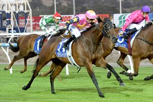 O'Reilly mare stays in form 